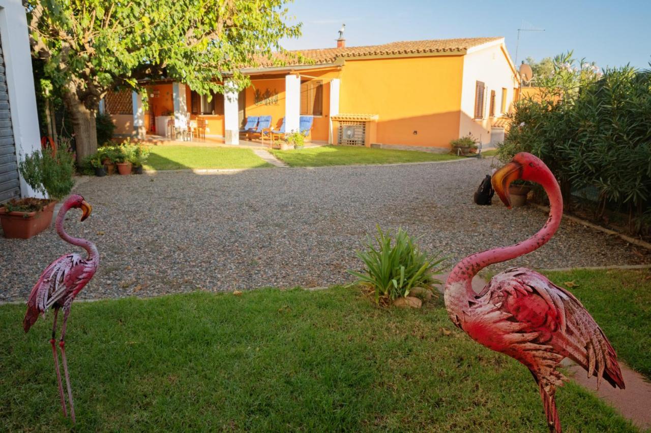 Appartamento Camisa - Il Gelso Exterior foto